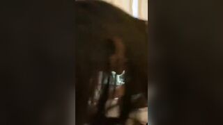 極品身材網紅小美女日常私拍-17