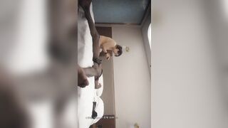 黑人留學生探花 偉哥加持約操美乳豐臀小姐姐 大屌發威扛腿爆操 小姐被操哭