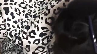 反差婊美女的精彩時刻-6